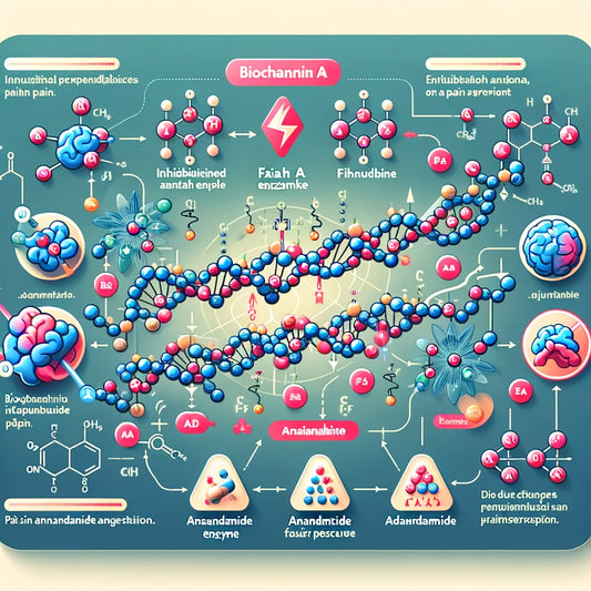 Exploring the Benefits of Biochanin A and Bioflavonoids on Pain Management and FAAH Enzyme Inhibition